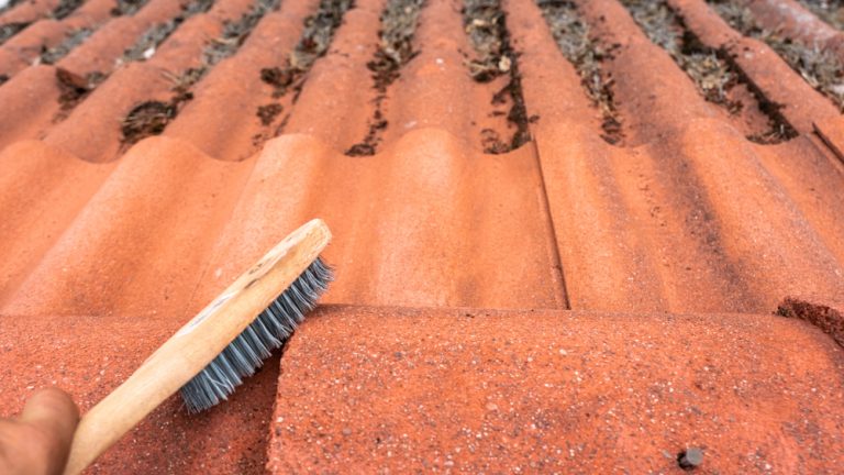 démoussage de toiture manuel avec une brosse